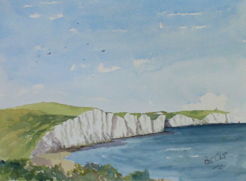 The Seven Sister Cliffs near Seaford in Sussex by Brian Tucker