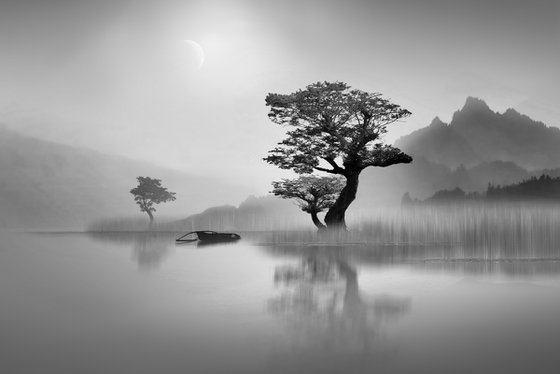 ZEN HOLIDAY...Limited Edition Photo Made in Japan