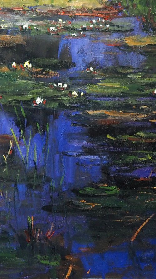 Water Lilies by Yuanyuan Liu