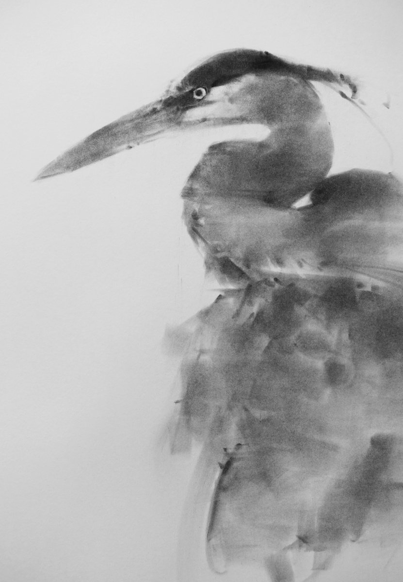 Great Blue Heron 03 by Tianyin Wang