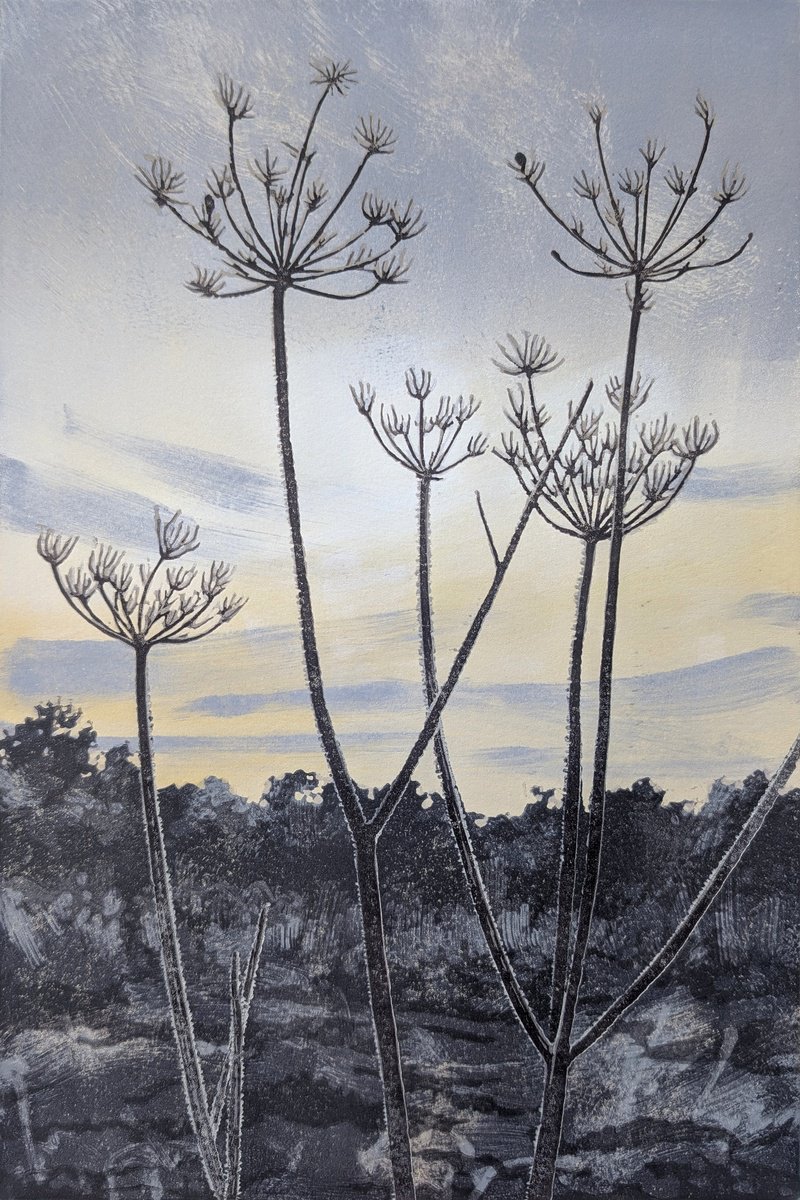 Impressionistic Linocut , Cow Parsley Frost By Alexandra Buckle, 10 X 14, Artwork For Sale On Artfinder