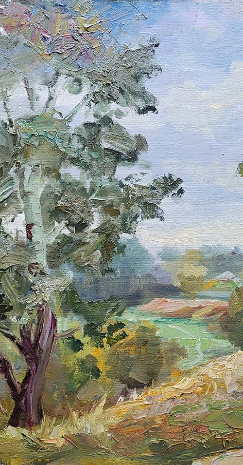Silver poplars by Boris Serdyuk