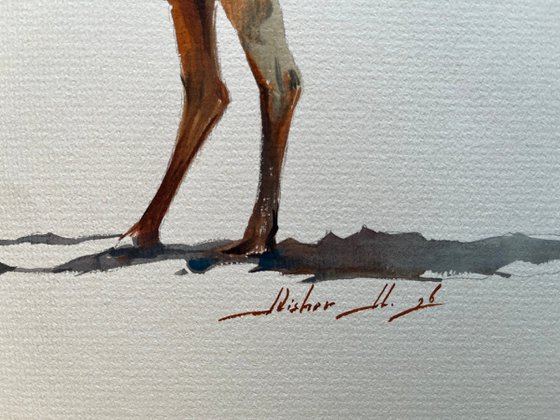 "Ship of the Desert"