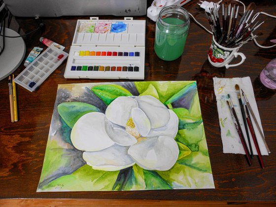 Magnolia flower, watercolor