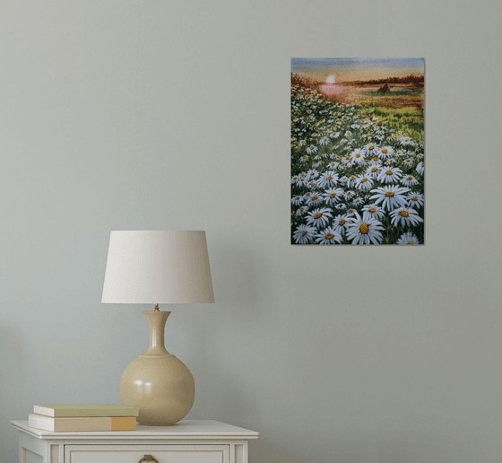 Chamomile field