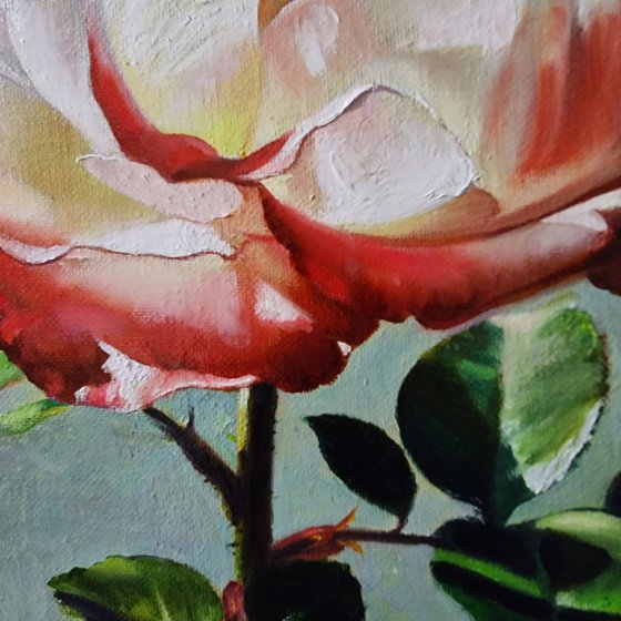 "Illuminated by the sun."  rose flower  liGHt original painting  GIFT (2021)