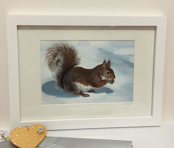 Winter woodland - Squirrel in the snow