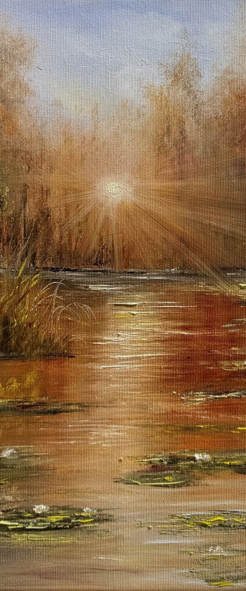 Sunset by Tanja Frost