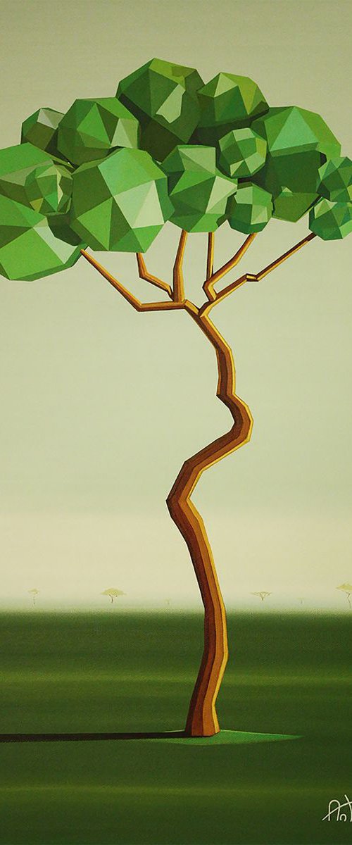 Acacia by Antonio Cruz