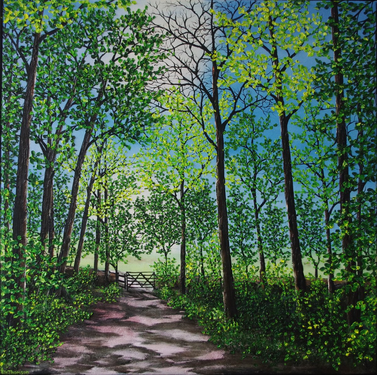 Dappled Light By Hazel Thomson, 29 X 29, Artwork For Sale On Artfinder