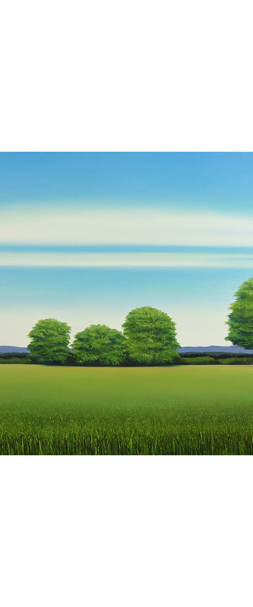 Green Trees - Blue Sky by Suzanne Vaughan