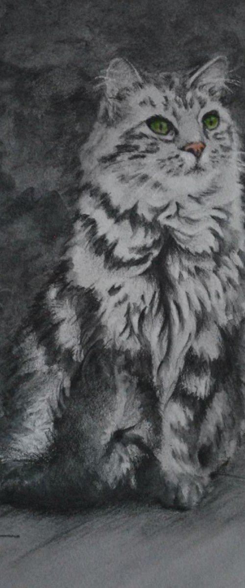 Green Eyes (Framed) by Denise Mitchell