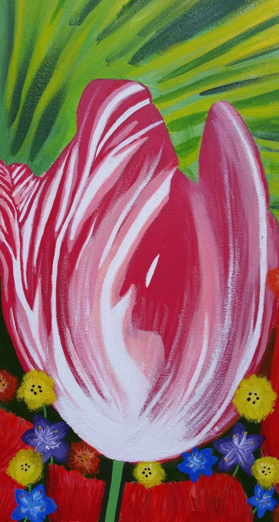 Bird of Paradise