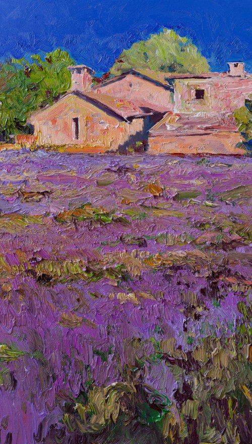 French Village. Lavender by Suren Nersisyan