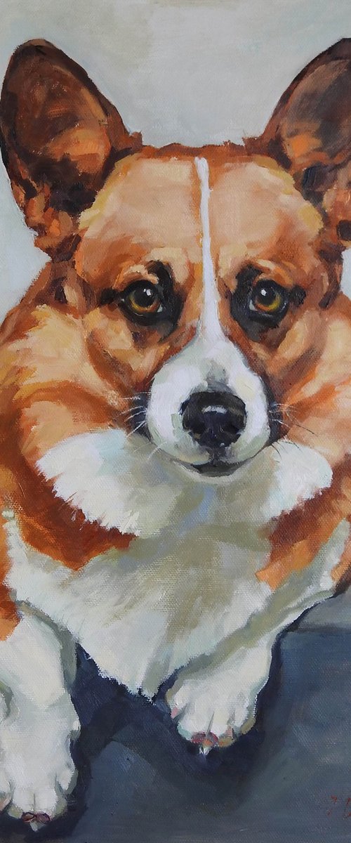 Corgi by Irina Ushakova