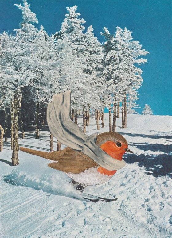 Dashing Through The Snow