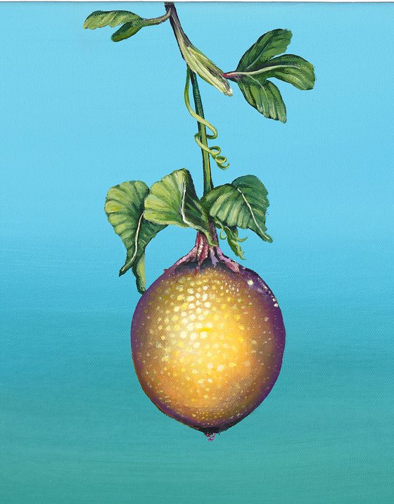 O Maracjua-Passion Fruit Mini1