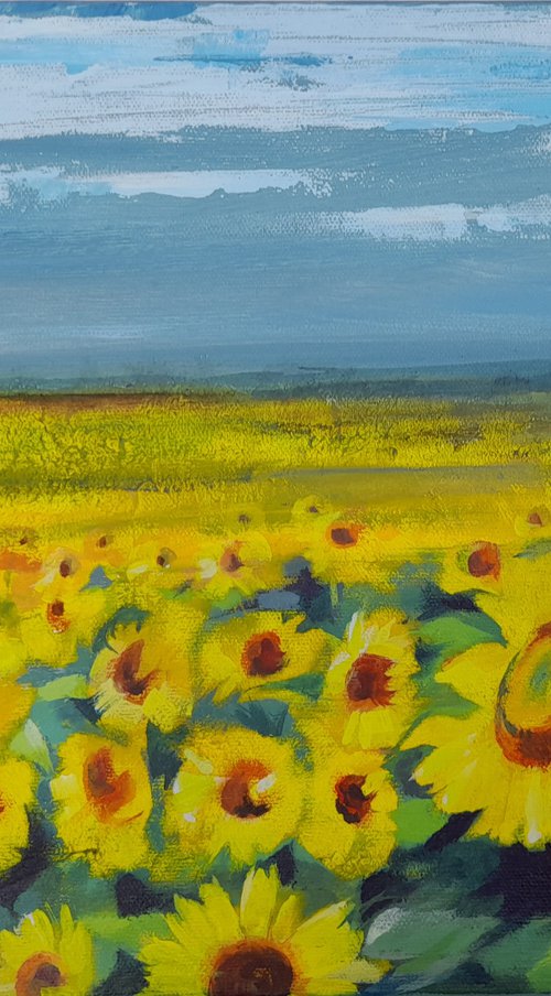 Field of sunflowers by Anjana Cawdell