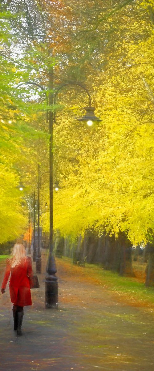 Autumn Girl  (44361) by Martin  Fry