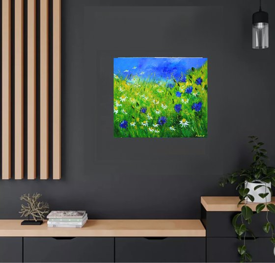 Cornflowers and daisies