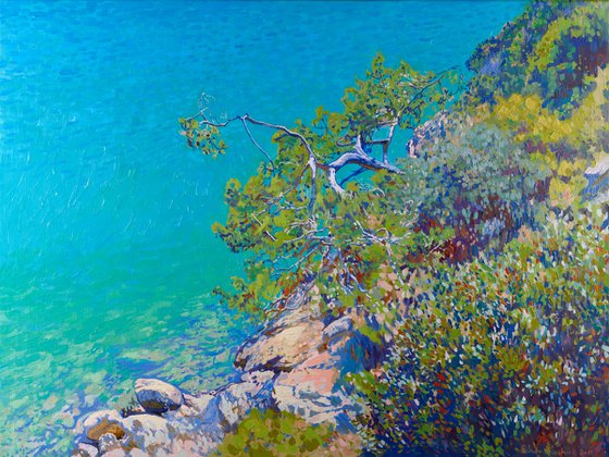 Pine in the Blue Lagoon