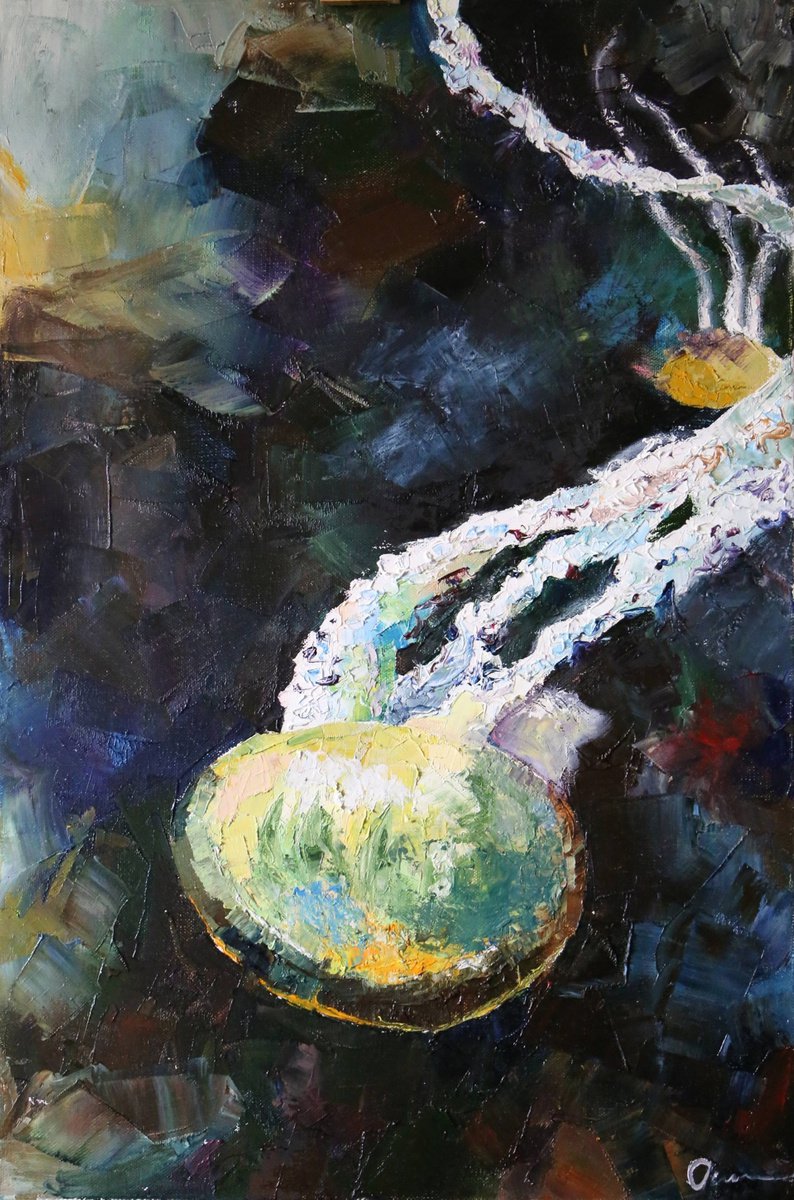 Jellyfish by Ekaterina Mitrofanova