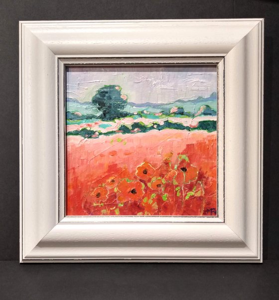 Red Poppies - Miniature