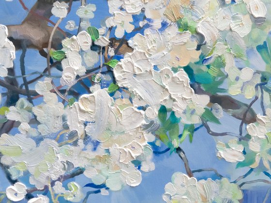 White Miracle of Spring