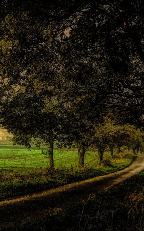 Through the Fields by Martin  Fry