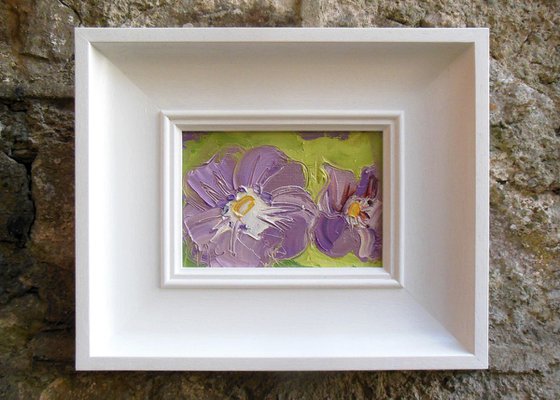 Geranium - Purple Flowers