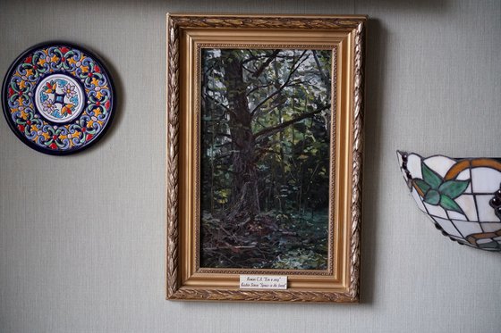 Forest. Fir-tree. Karmanovo