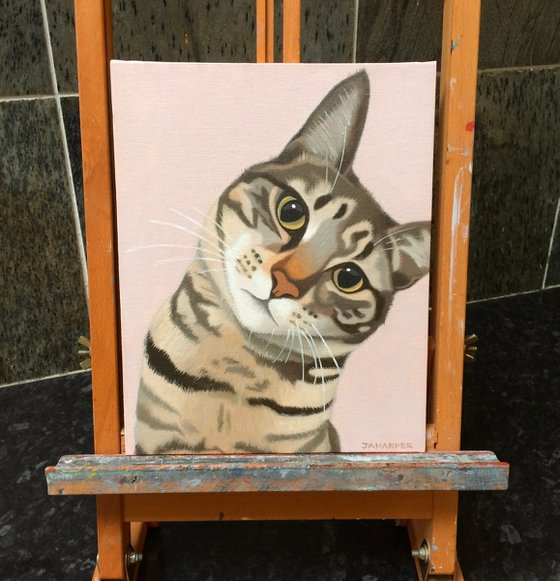 Doolally Cat