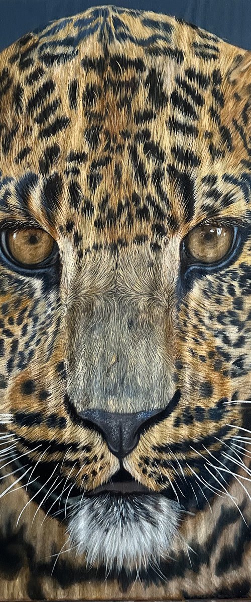 Leopard by Martyna Maik