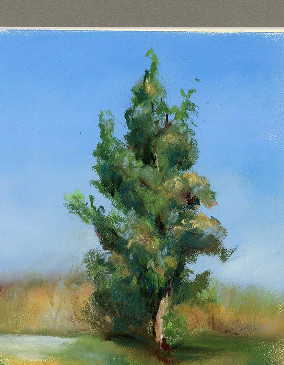 Tree Landscape