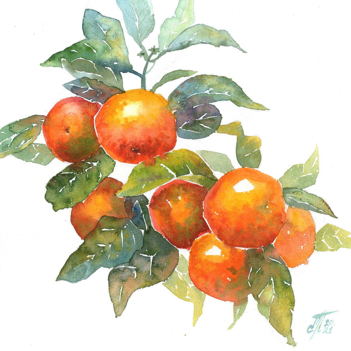 Tangerine branch by Ekaterina Prisich