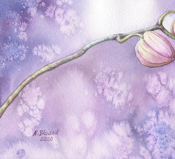 Ukrainian watercolour. Winter orchids