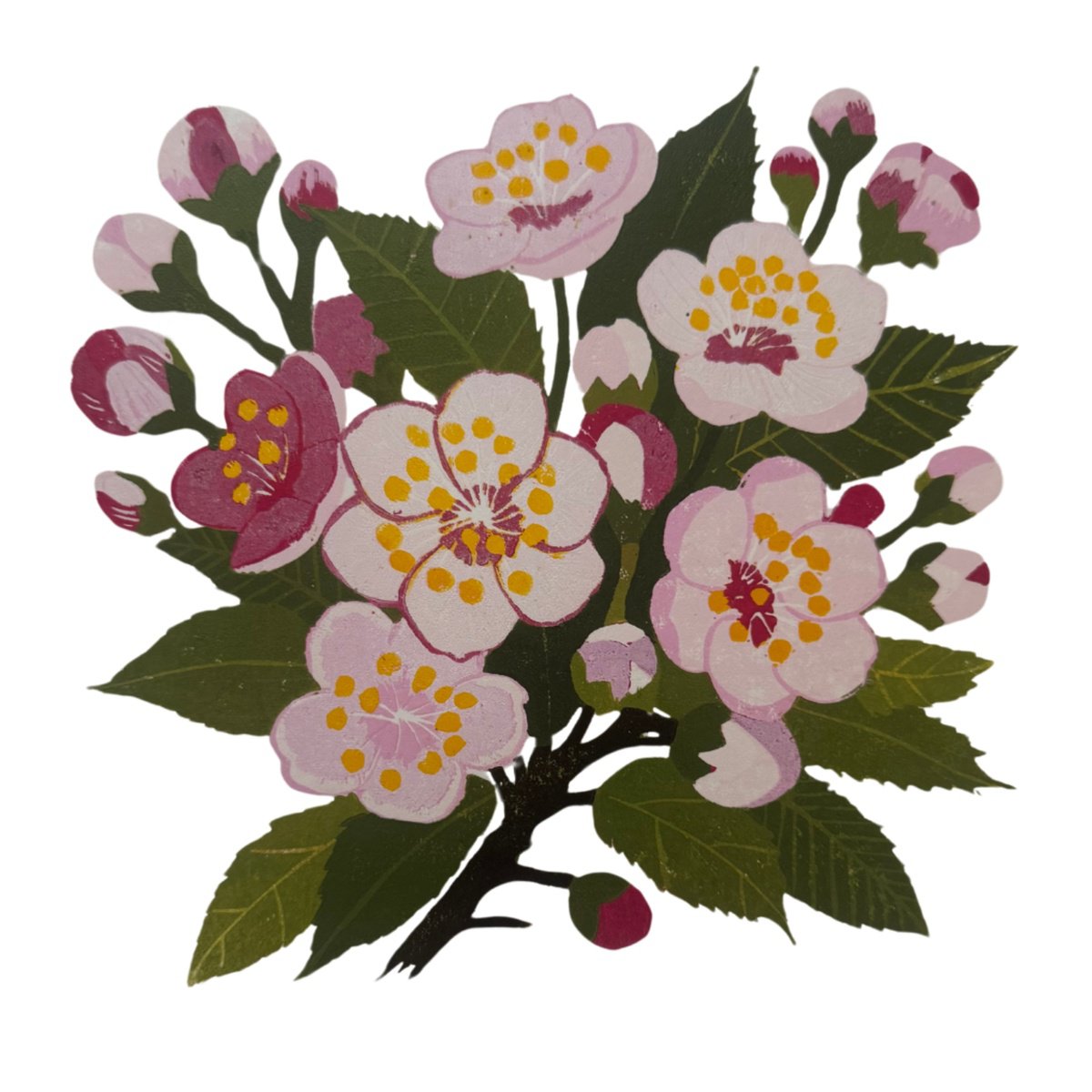 Impressionistic Botanical Linocut By Joanne Spencer, 8 X 8, Cherry Blossom, Original Artwork