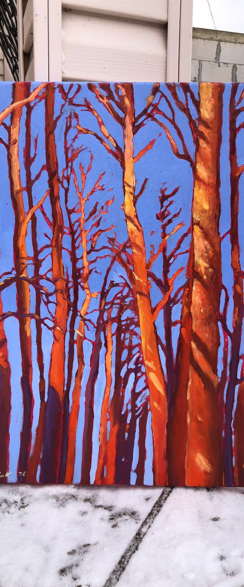 Winter forest by Volodymyr Smoliak