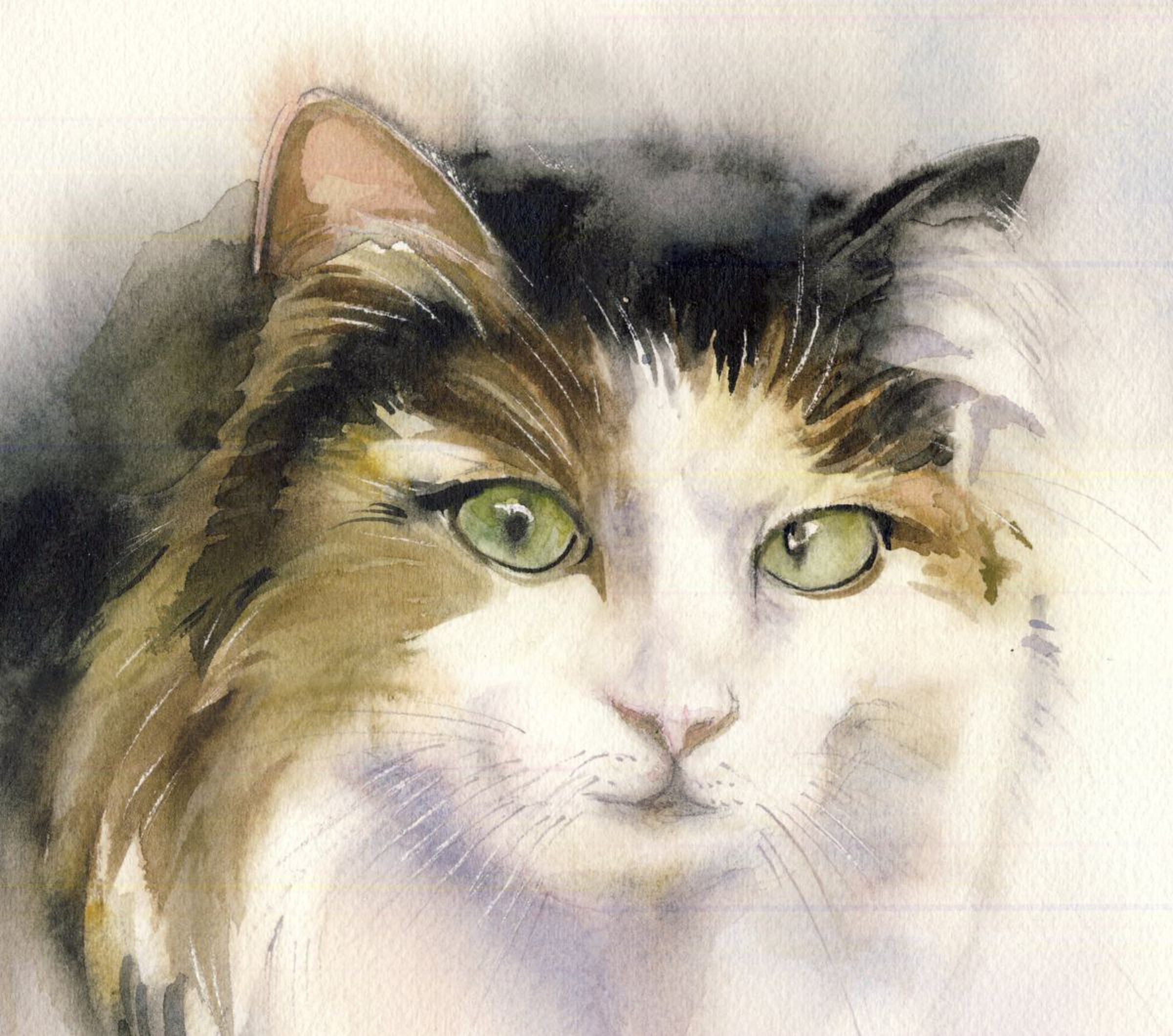 A Painting A Day 43 Cat Watercolor Artfinder