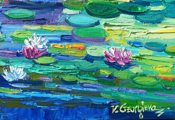 Water lilies reflections