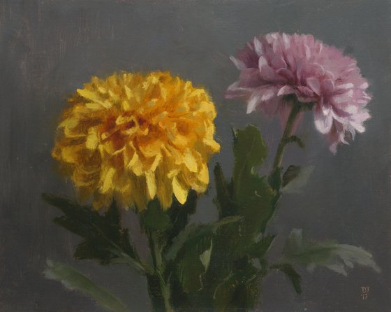 Chrysanthemums