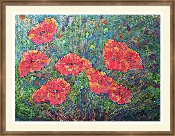 Poppies 4