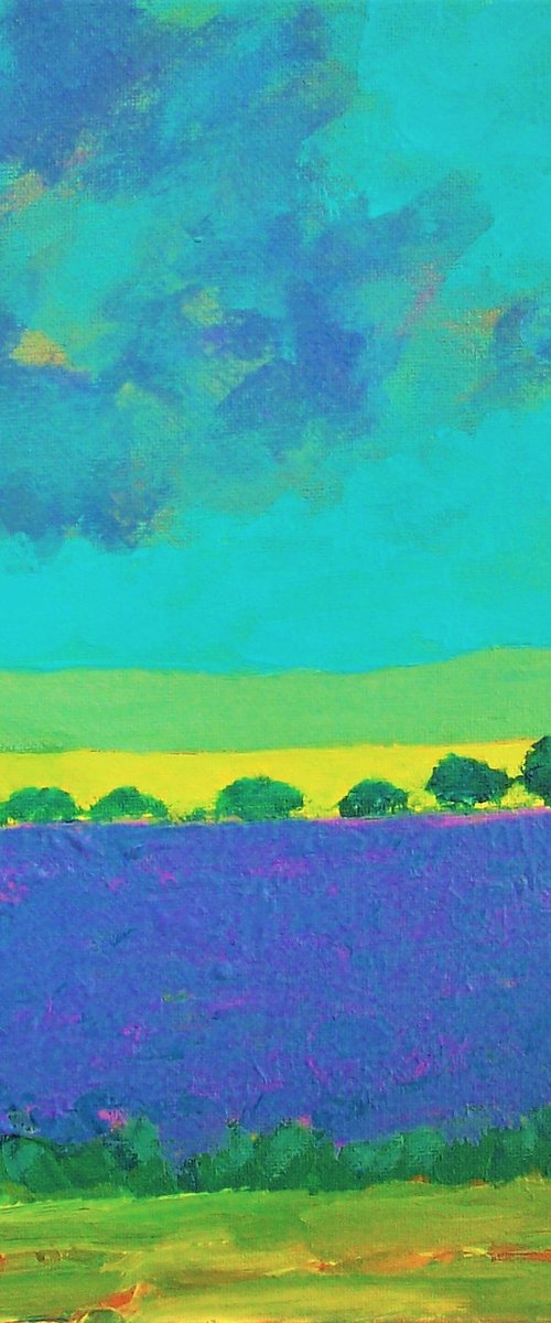 SUNDAY LAVENDER by David J Edwards