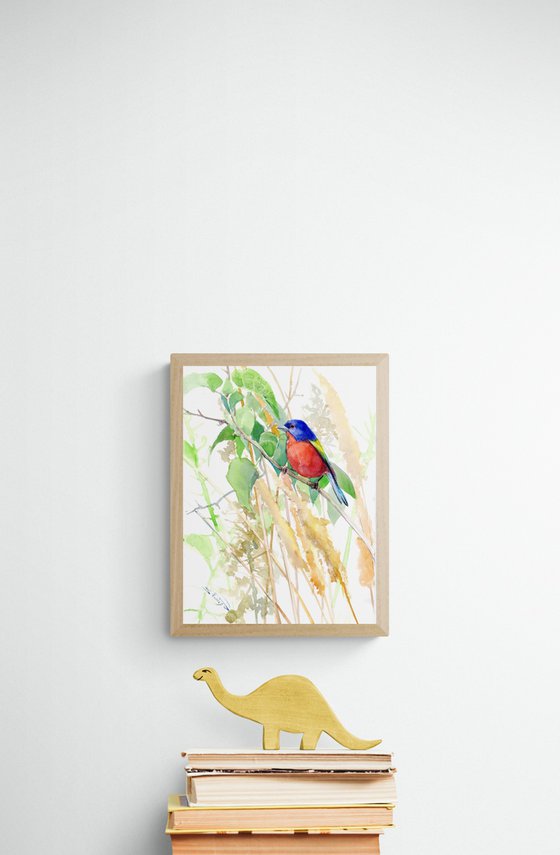 Painted Bunting Bird