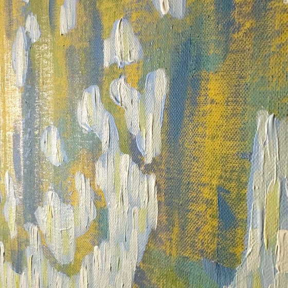 Morning Light Through Pines