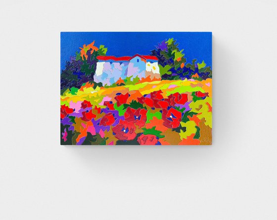 Poppy field (small)