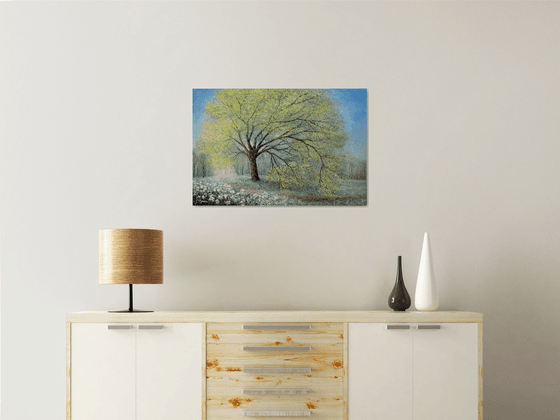 SPRINGTIME ON THE OLD OAK PATH