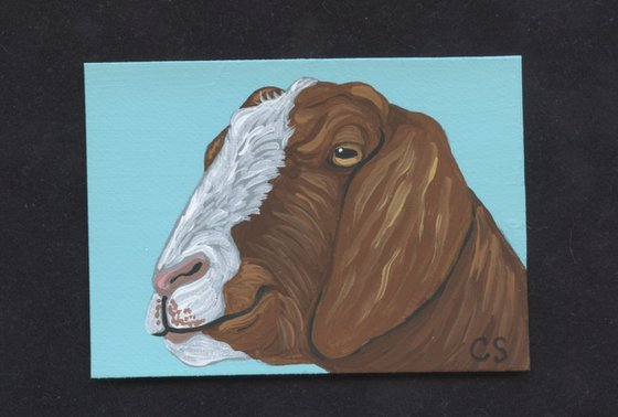 ACEO ATC Original Miniature Painting Boer Goat Farmyard Art-Carla Smale