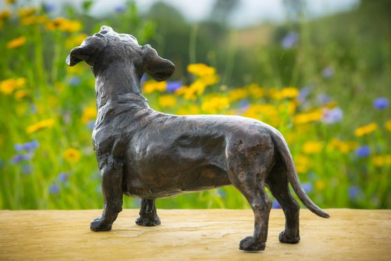 Standing Dachshund FB
