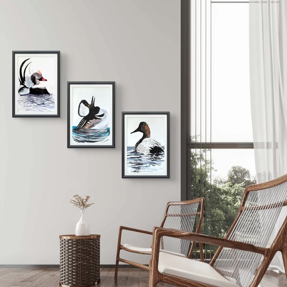 3 Wild drakes Mallard duck
